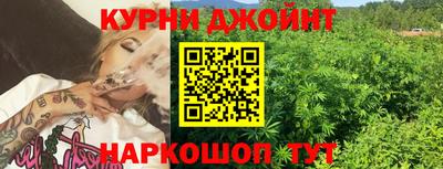 мдпв Новозыбков