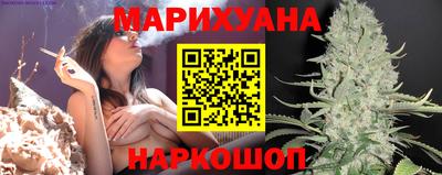 мдпв Новозыбков