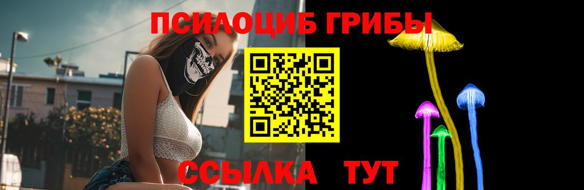 Томск  Галлюциногенные грибы GOLDEN TEACHER  Вход с VPN 